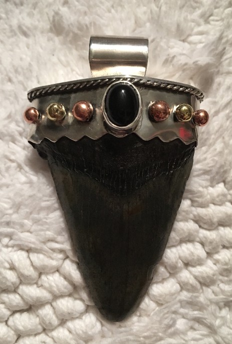 Jewelry Shark Tooth Necklace